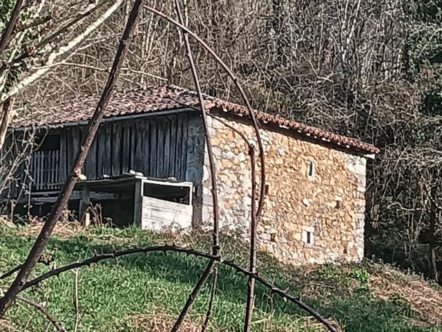 Finca rústica en venta. CANGAS DE ONíS