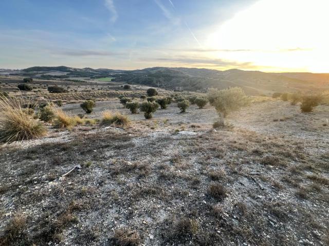 Finca rústica en venta. CARABAñA