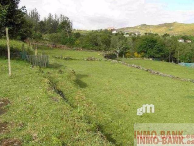 Finca Rustica en venta. Cotobade