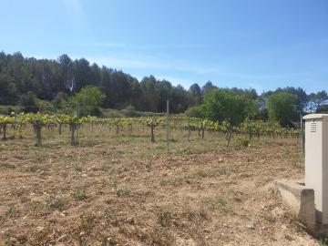 FINCA RUSTICA EN VENTA DE 24 Ha