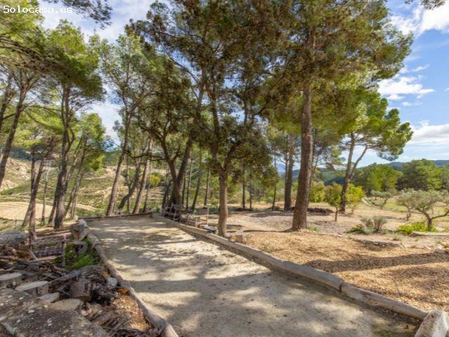 Finca rústica en venta en Alicante: 18 ha con piscina, vistas al Puig Campana y