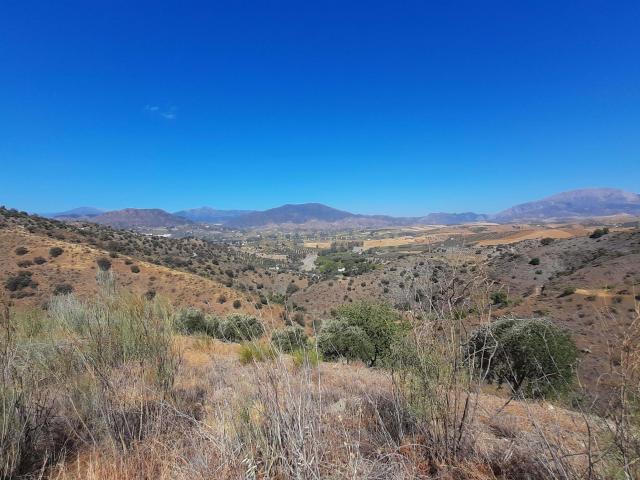 FINCA RÚSTICA CON 11.000 m² DE TERRENO, PRIVACIDAD Y VISTAS PANORÁMICAS EN ÁLORA