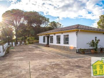 Plaza de Itálica - Terraza, Piscina, Plaza aparcamiento