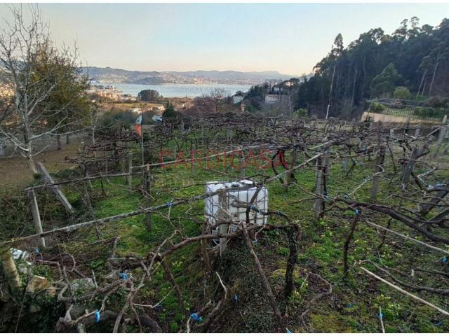 Finca rustica en venta en Berducedo Piñeiro