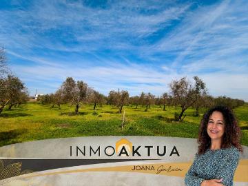 Lebrija, Sevilla, Andalucía, Andalucía