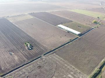 Lebrija, Sevilla, Andalucía, Andalucía