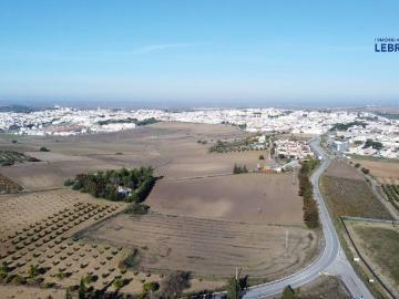 Lebrija, Sevilla, Andalucía, Andalucía