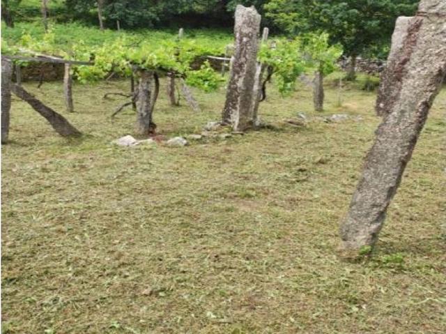 Finca rustica en venta en Redondela