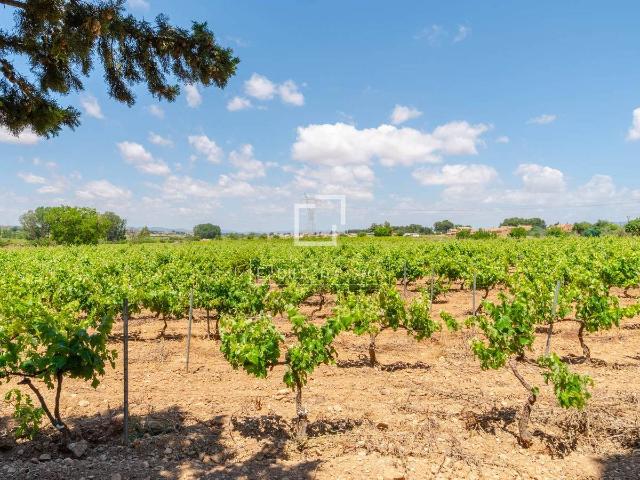 Casa chalet en Venta en Requena