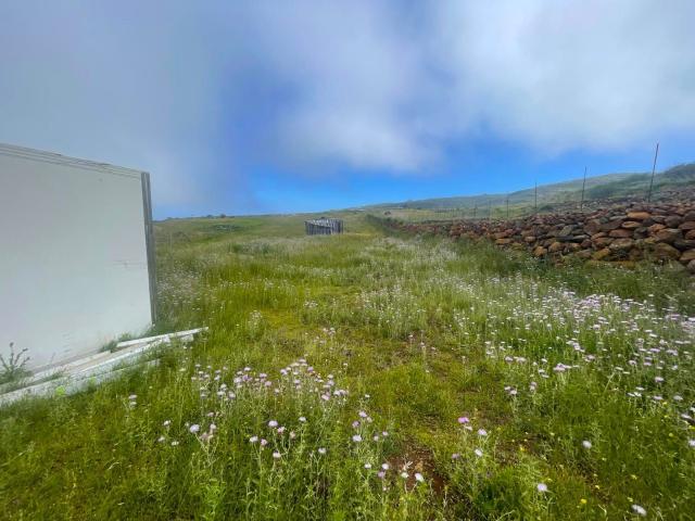 Finca rústica en venta. INGENIO