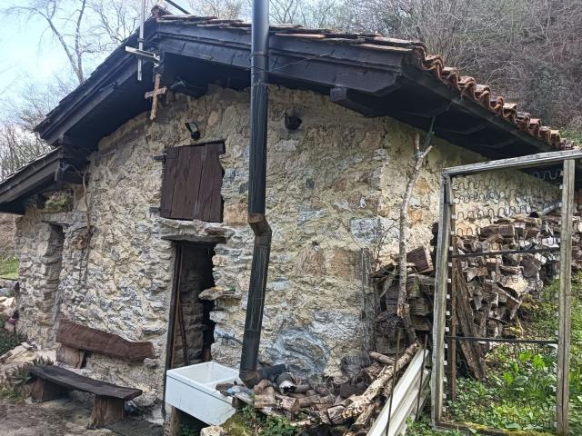Finca rústica en venta. PARRES