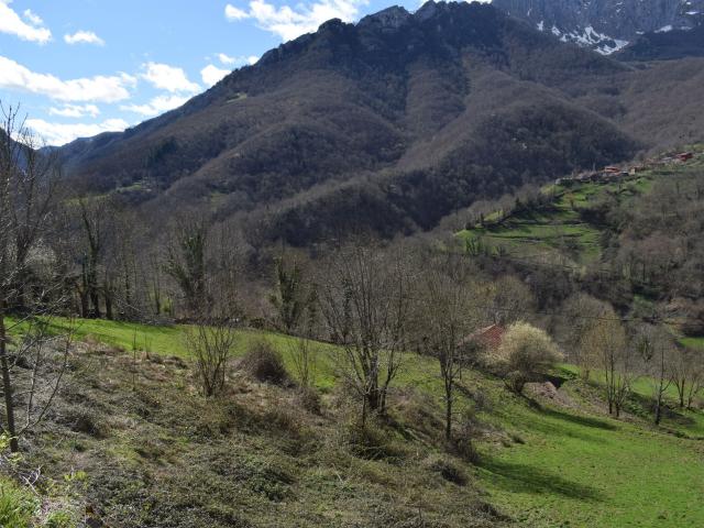 Finca rústica en venta. PONGA
