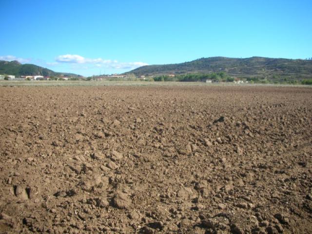 Finca rústica en venta. RUBIELOS DE MORA