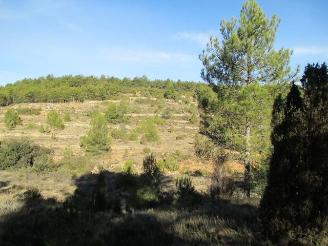Finca rústica en venta. SAN AGUSTíN