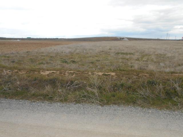 Finca rústica en venta. SAN PEDRO DEL ARROYO