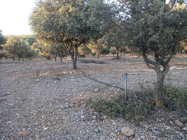 Finca rústica en venta. SARRIóN