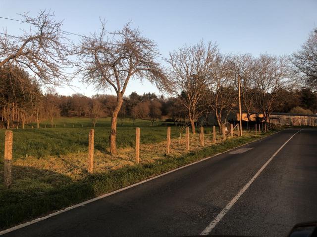 Finca rústica en venta. SILLEDA