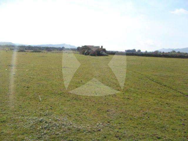 FINCA RUSTICA EN VENTA SITUADA EN EL PUEBLO DE IBAHERNANDO