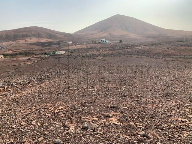 Finca rústica en venta. TUINEJE