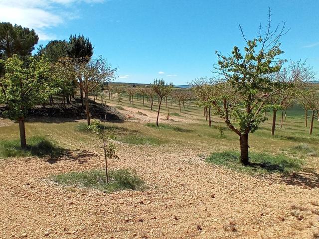 Finca rústica en venta. TERUEL