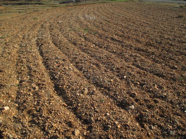 Finca rústica en venta. TERUEL