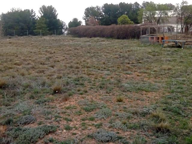 Finca rústica en venta. TERUEL