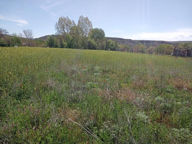 Finca rústica en venta. TERUEL