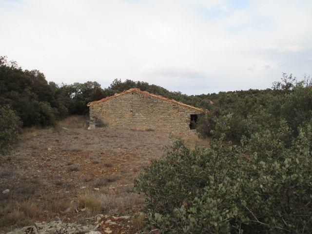 Finca rústica en venta. TORO, EL