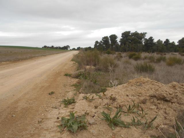 Finca rústica en venta. VILLANUEVA DE GóMEZ