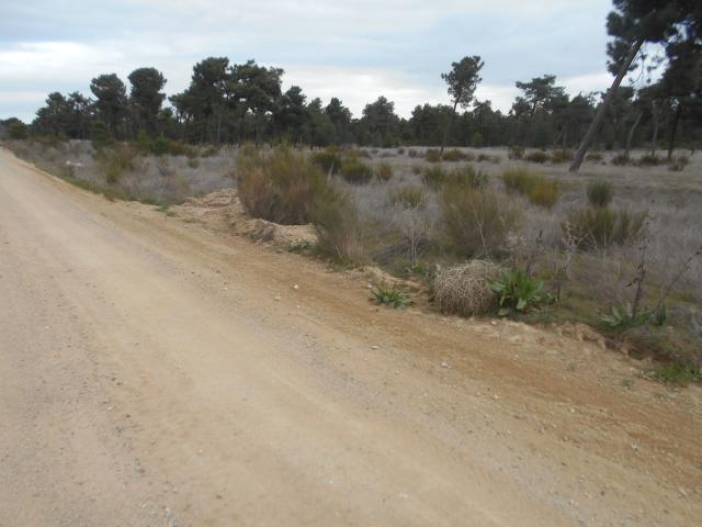 Finca rústica en venta. VILLANUEVA DE GóMEZ