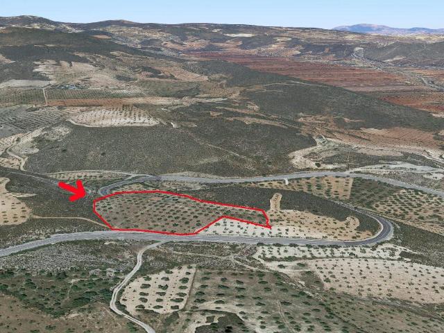 FINCA RÚSTICA EN VENTA