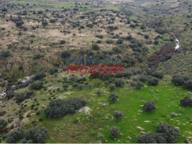 Finca rústica en Villar del Pedroso, Cáceres