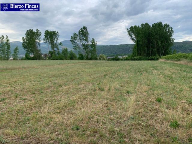 SE VENDE FINCA RÚSTICA EN VILLAVERDE DE LA ABADÍA