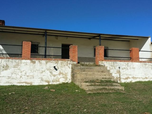 FINCA RÚSTICA ENTRE BELMEZ Y PEÑARROYA PUEBLONUEVO