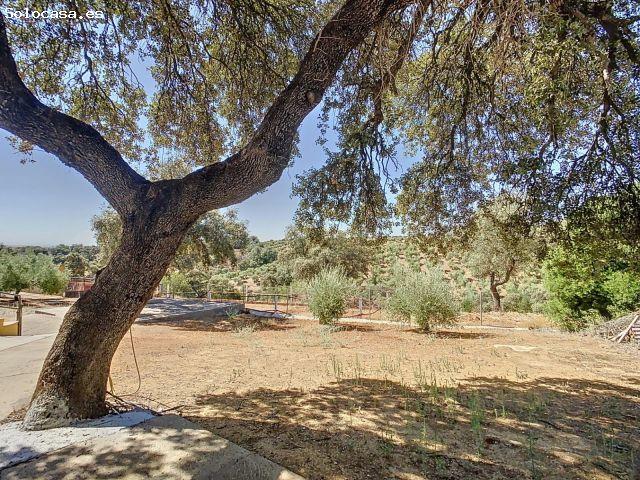 ¡FINCA RÚSTICA HIPOTECABLE CON CASA, PISCINA Y ZONA DEPORTIVA A SOLO 35 KM DE CÓRDOBA!