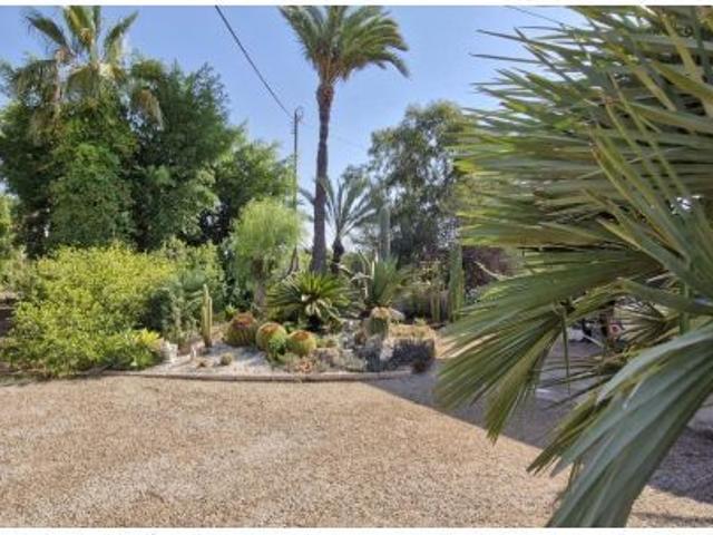 FINCA RUSTICA ILICITANA EN EL ALTET !