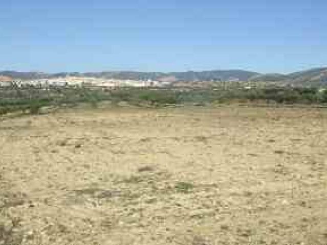 FINCA RUSTICA POSIBILIDAD REGADIO VILLAR ARZOBISPO