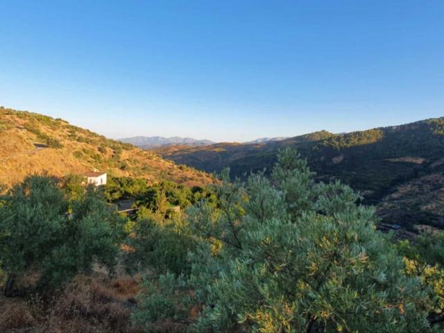 Finca Rústica regadío en Yunquera
