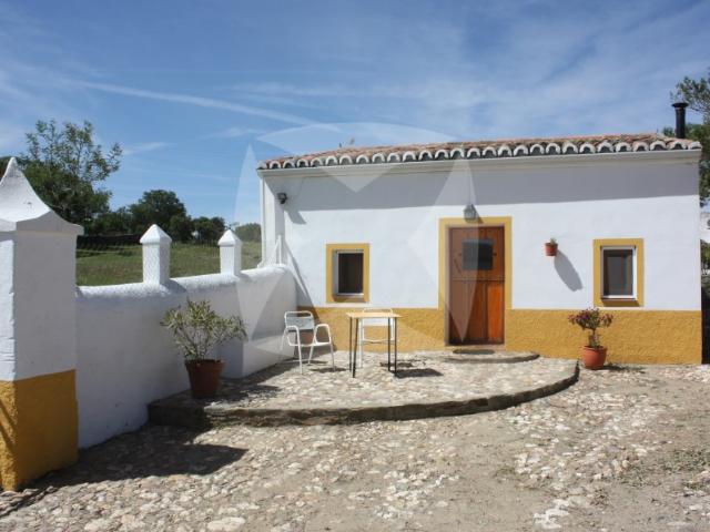 FINCA RUSTICA SITUADA EN LA ZONA DE MONROY CON UNA PEQUEÑA CASA
