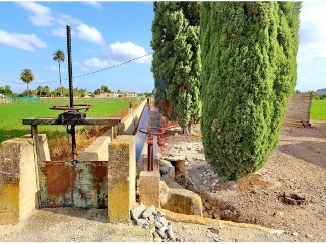 Finca rústica urbanizable con vivienda para reformar – Vega Baja, Callosa de Segura