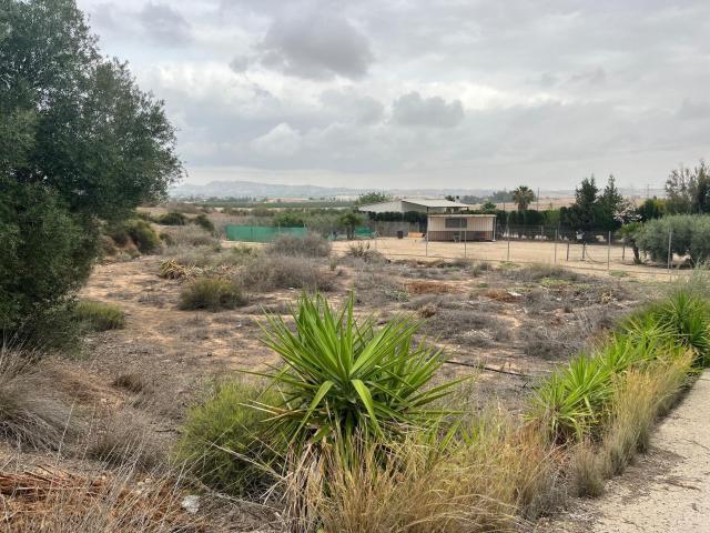 Finca rustica 16.000€ ! oportunidad única y especial