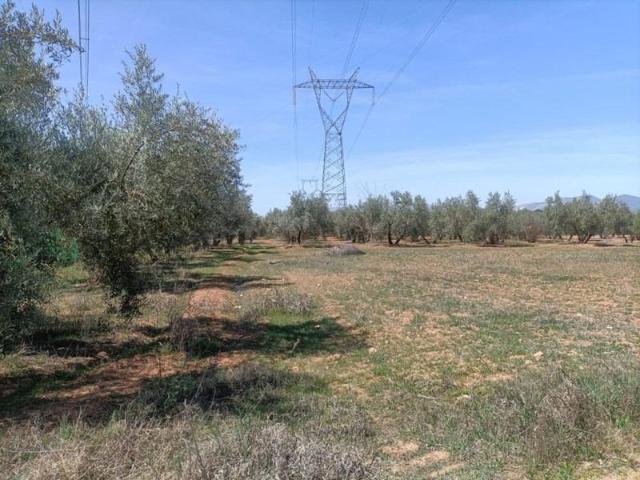 Finca Rústica
