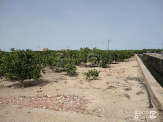 FINCA RUSTICA