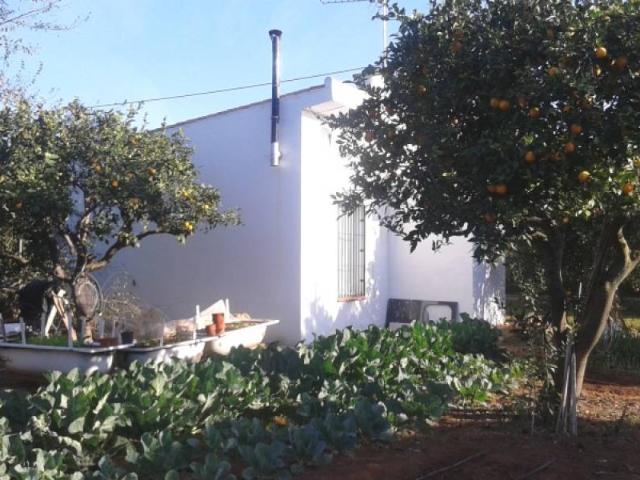 Finca Rústica