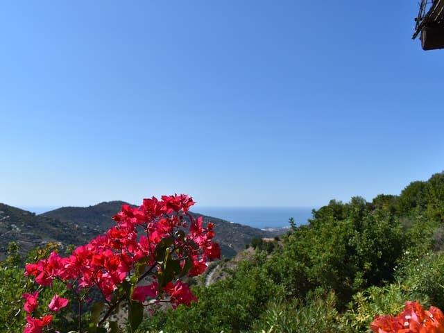 Finca/Casa Rural en alquiler en Cómpeta, Málaga Costa del Sol