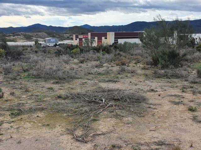 Finca/Casa Rural en alquiler en Cantoria, Almería