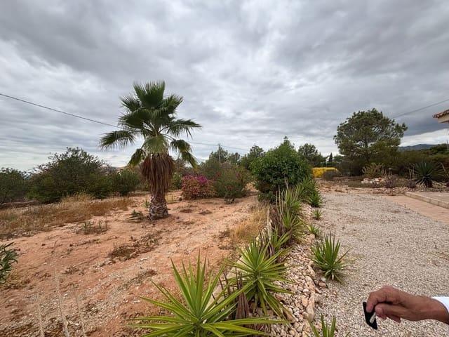 Finca/Casa Rural en alquiler en Crevillente / Crevillent, Alicante