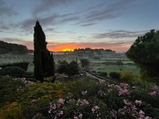 Finca/Casa Rural en alquiler en Lloret de Vista Alegre, Mallorca