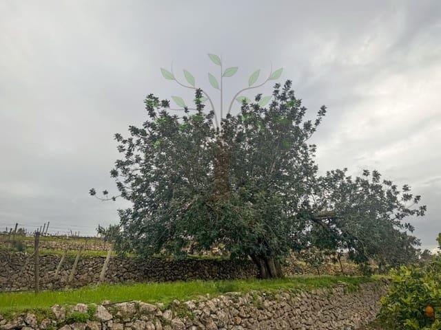 Finca/Casa Rural en alquiler en Sant Llorenç de Balafia, Ibiza