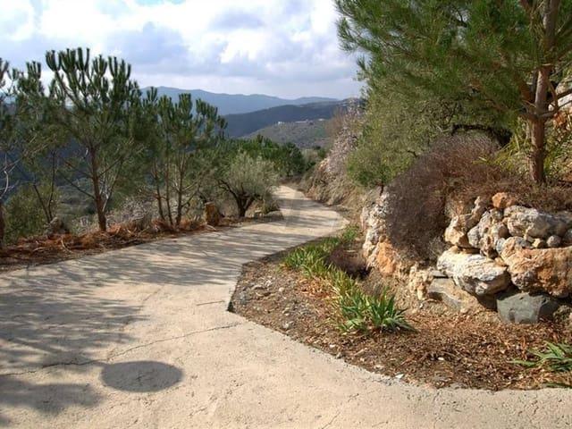 Finca/Casa Rural en alquiler en Sedella, Málaga Costa del Sol